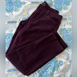 Ann Taylor Rich Purple Velvet Pants